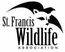 St. Francis Logo